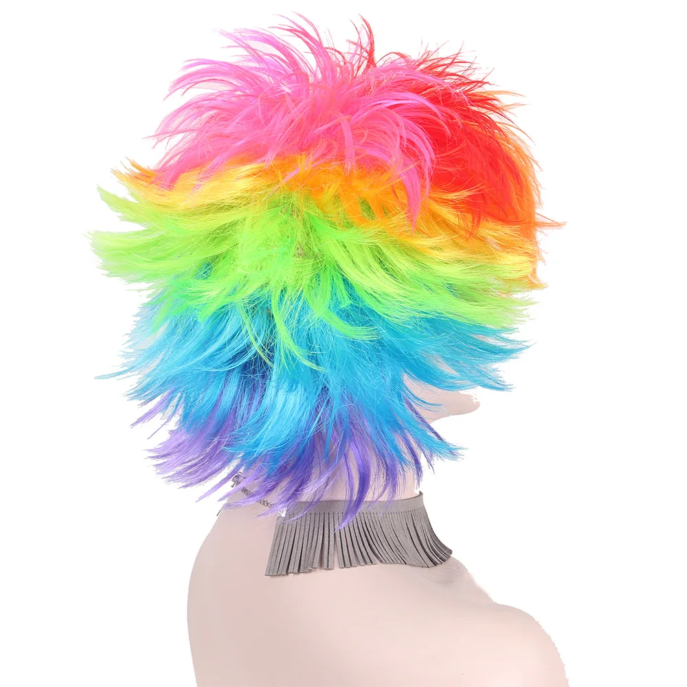 rainbow wig for men