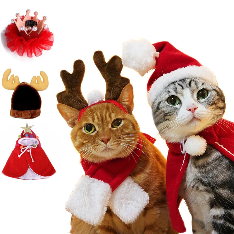 christmas kitten clothes