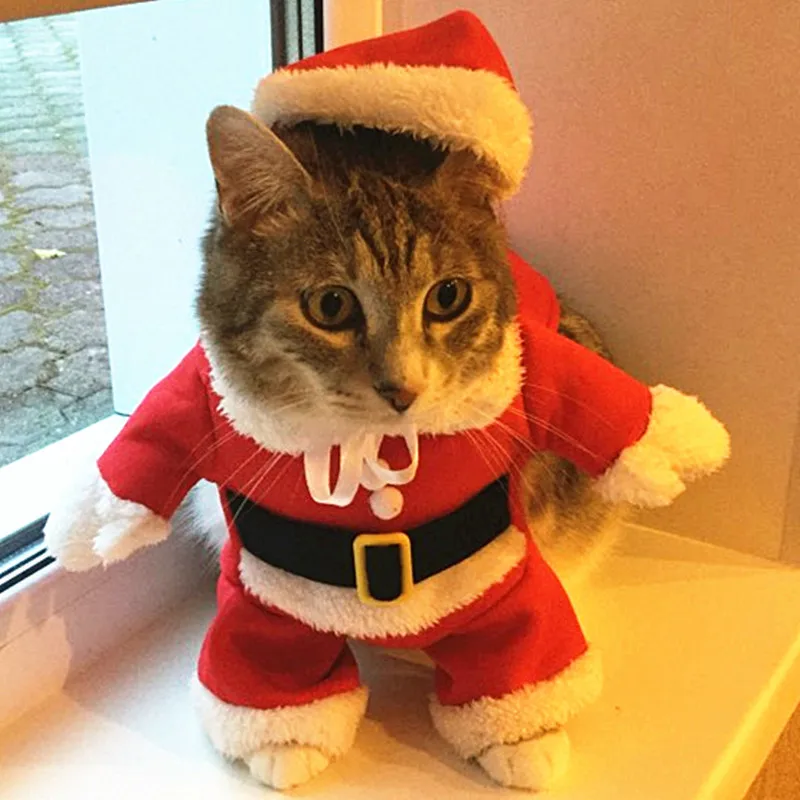 Cumpără Produse Pentru Animale De Companie Christmas Cat Costumes Funny  Santa Claus Clothes For Small Cats Dogs Xmas New Year Pet Cat Clothing  Winter Kitty Kitten Outfits | Sl Cat Autumn And