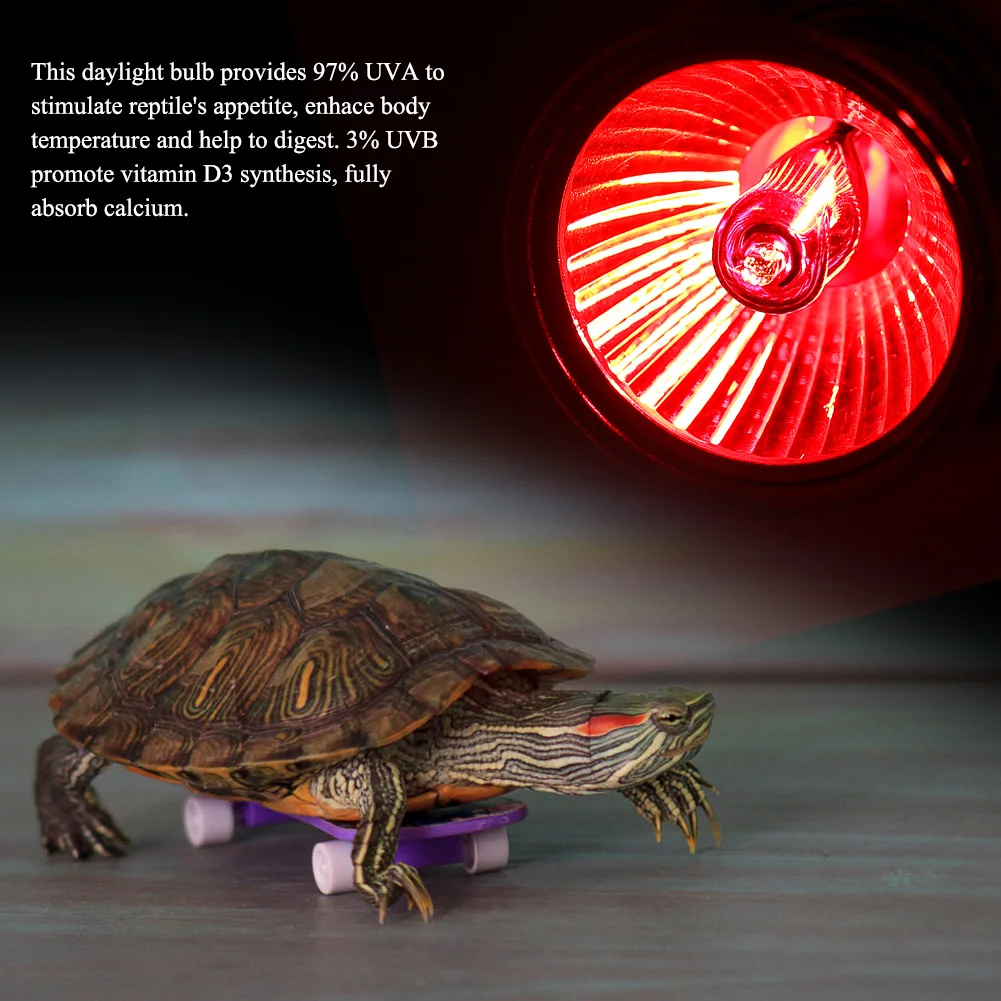 uvb light bulbs for turtles