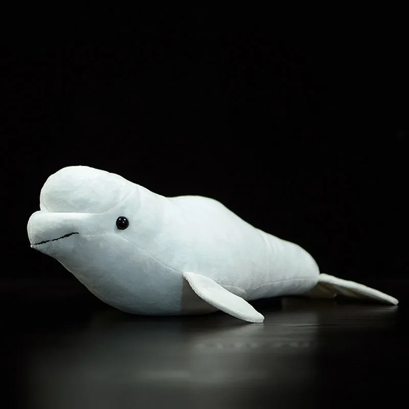 beluga whale soft toy