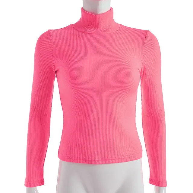 Turtleneck Knitted Long Sleeve Sweater 