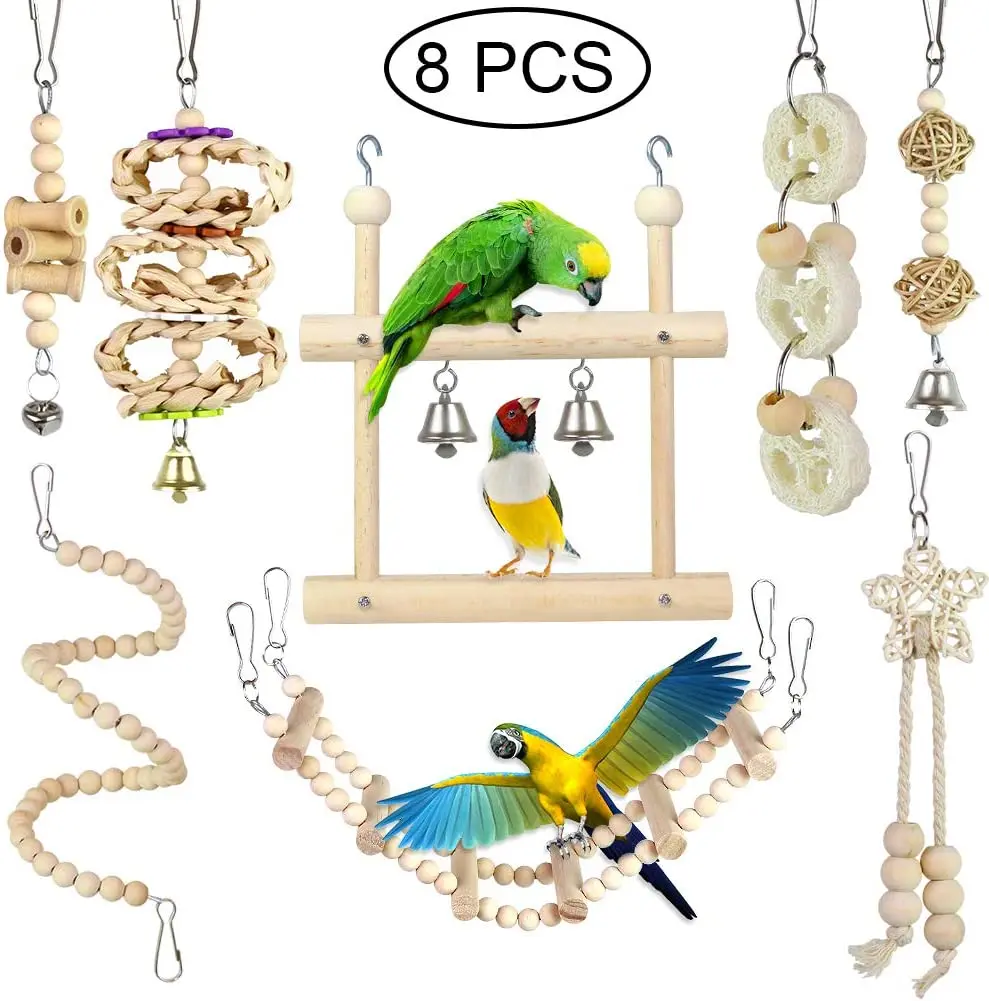 pet parrot toy