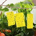 50/100 Pcs Strong Flies Traps Bugs Sticky Board Catching Aphid Insects Pest Killer White Fly Thrip Leafminer Adhesive Sticker preview-3