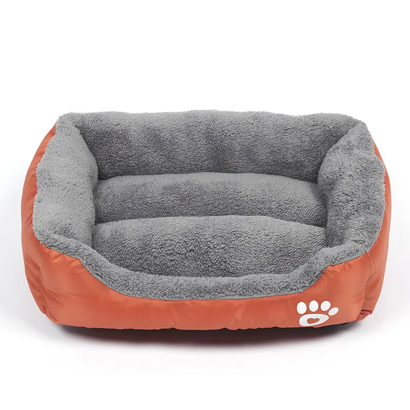 bed with dog