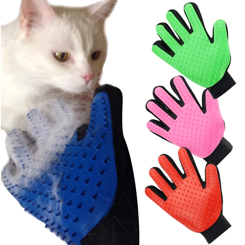 gloves cat