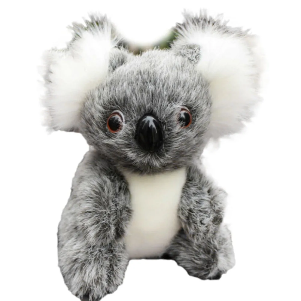 koala bear teddy