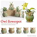 Cartoon Owl Shape Succulent Ceramic Flower Pot Home Living Room Decoration Random Style Delivery Plant Potted Vase Decoration preview-4