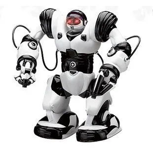 rc robot toy