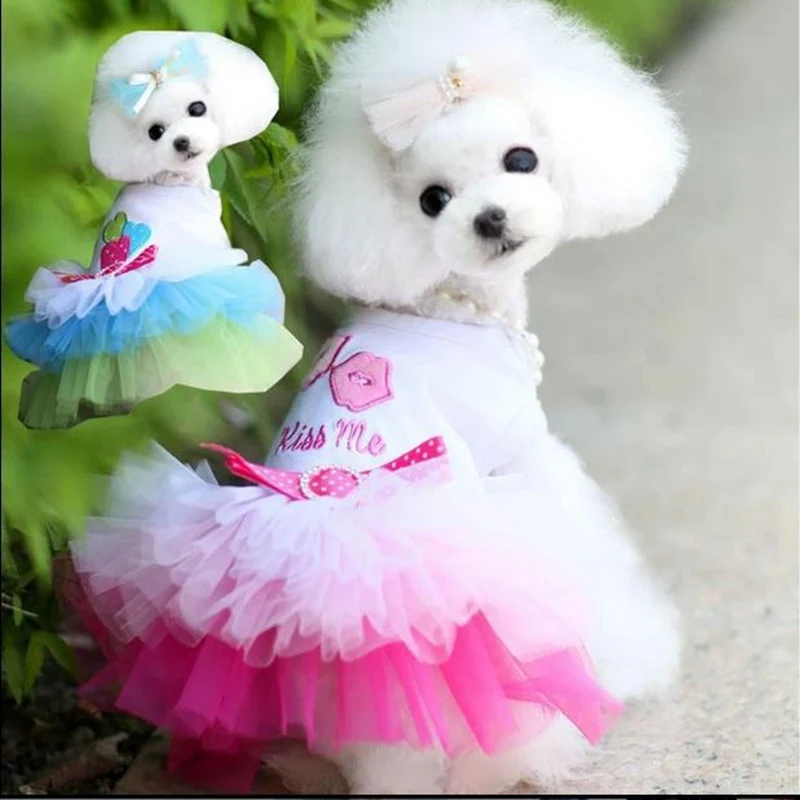 dresses dogs