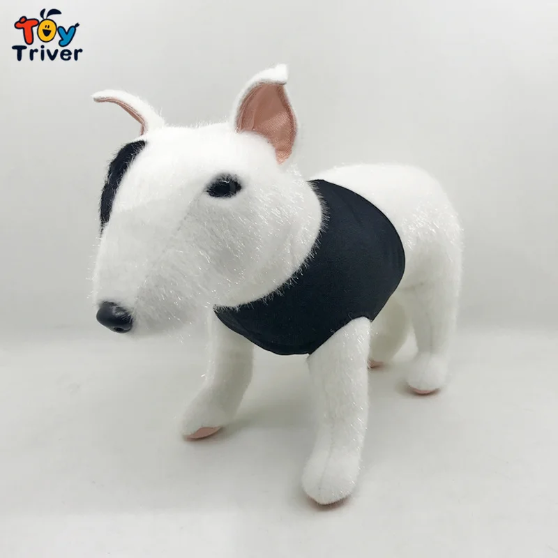 toy english bull terrier