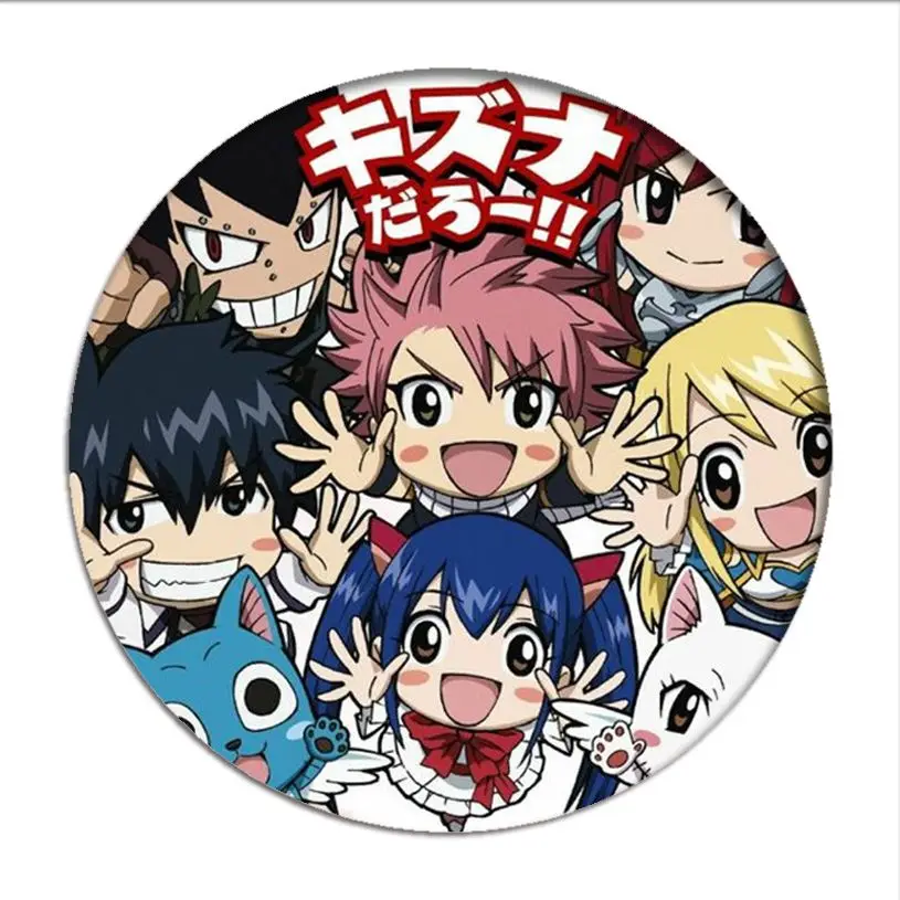 Japan Anime Fairy Tail Natsu Cosplay Badge Lucy Happy Brooch Pins Gray Erza  Collection Badges for