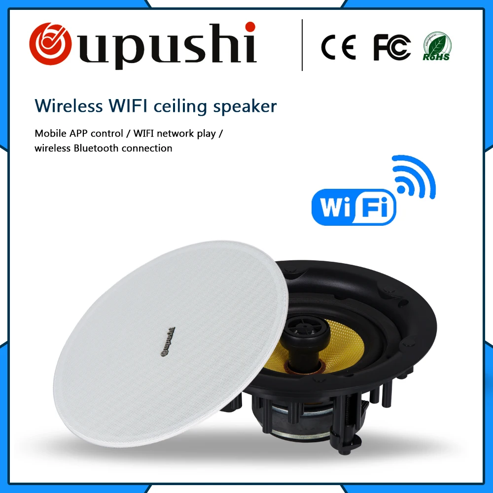 wifi roof speakers