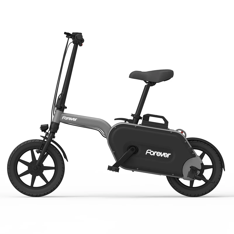 300w electric bike