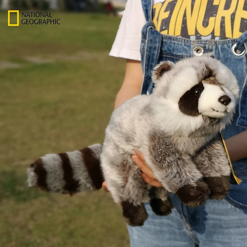 raccoon soft toy