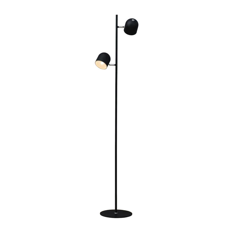 dual reading floor lamp