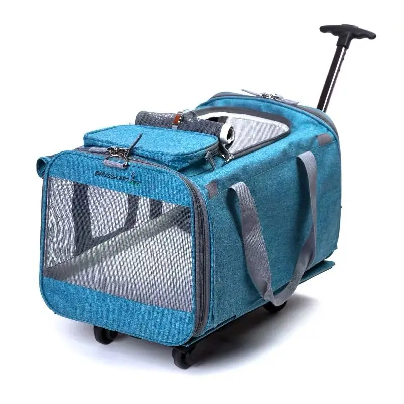 cat luggage bags