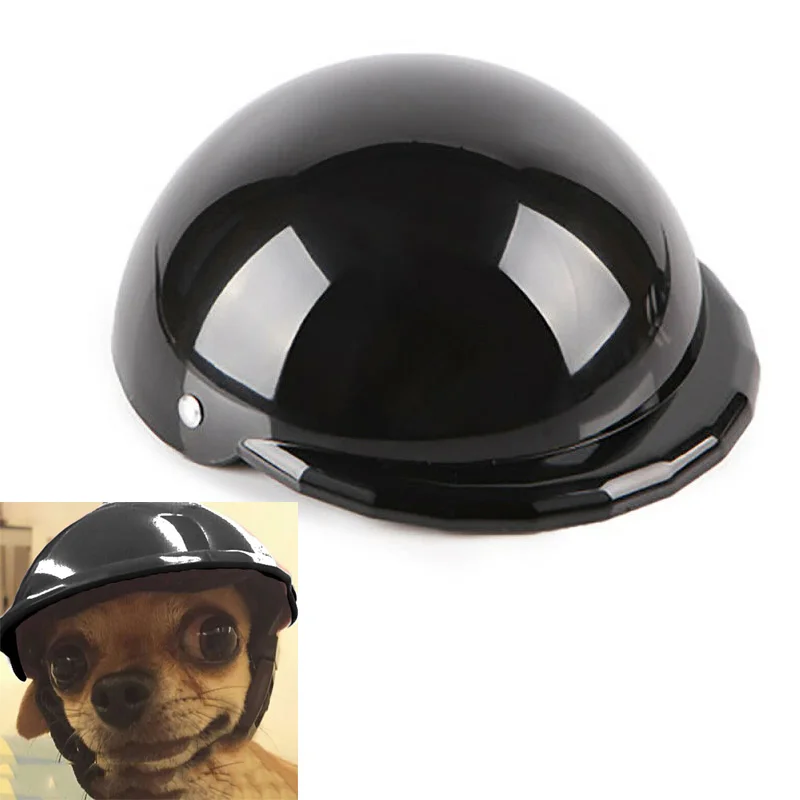 dog cycle helmet