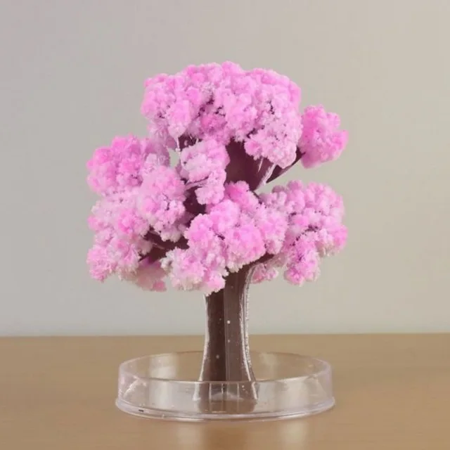 Magic Sakura Tree, Magic Sakura Cherry Blossom, Magic Growing Paper Sakura  Tree