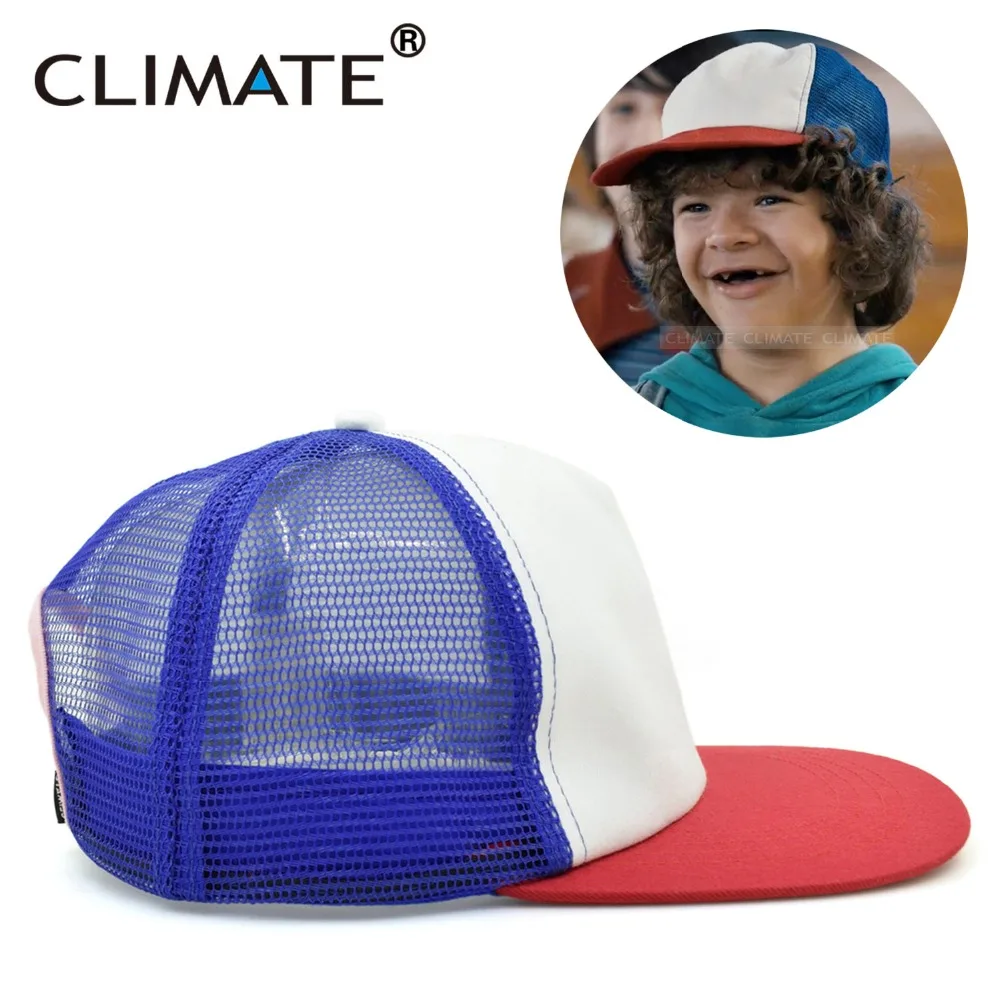 CLIMATE Dustin Stranger Things Dustin 