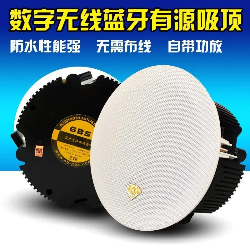 bluetooth speaker ceiling kit