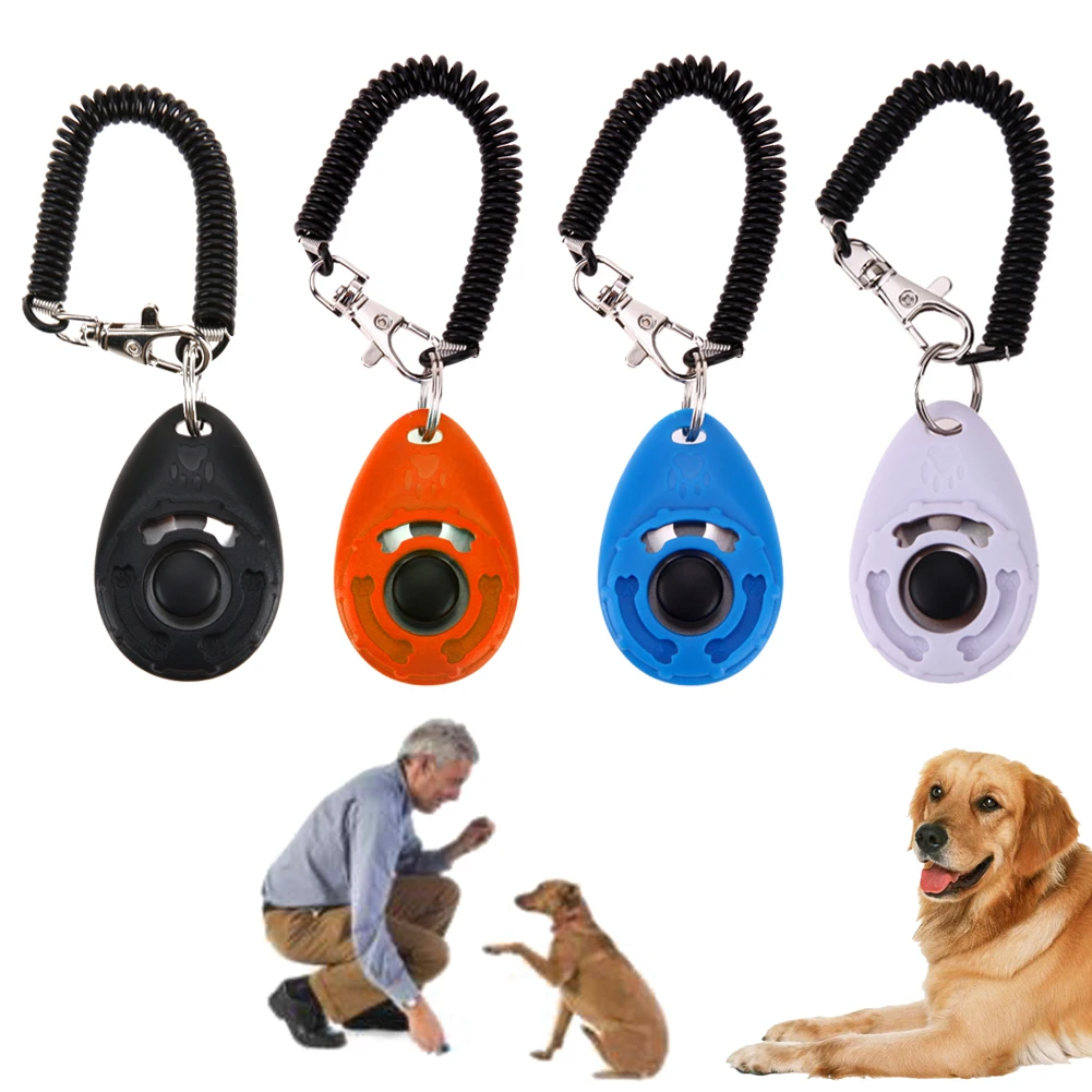 clicker leash training