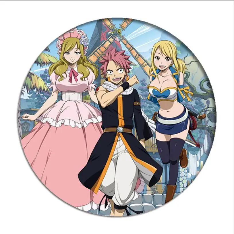 Japan Anime Fairy Tail Natsu Cosplay Badge Lucy Happy Brooch Pins Gray Erza  Collection Badges for