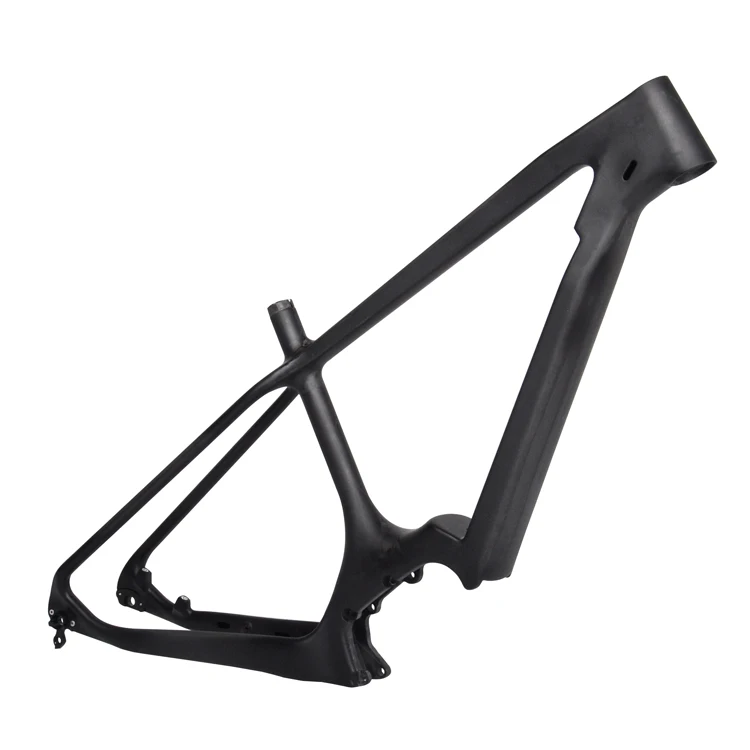 carbon frame ebike