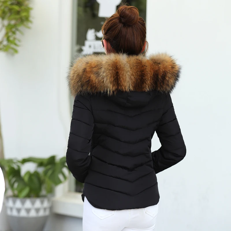 Female Warm Winter Jacket 2020 Fashion Women Hooded Fur Collar