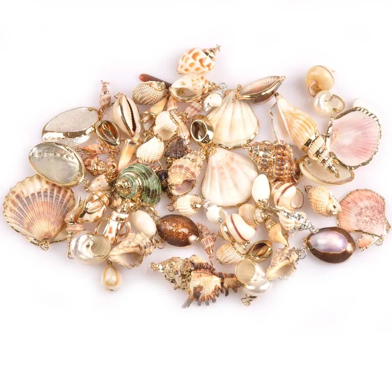 Αγορά Διακόσμηση σπιτιού  Mix Natural Seashell Gold Plated Crafts Handmade  Ornaments For Pendant Shells DIY Jewelry Home Decoration 5pcs 20-40mm TR0251