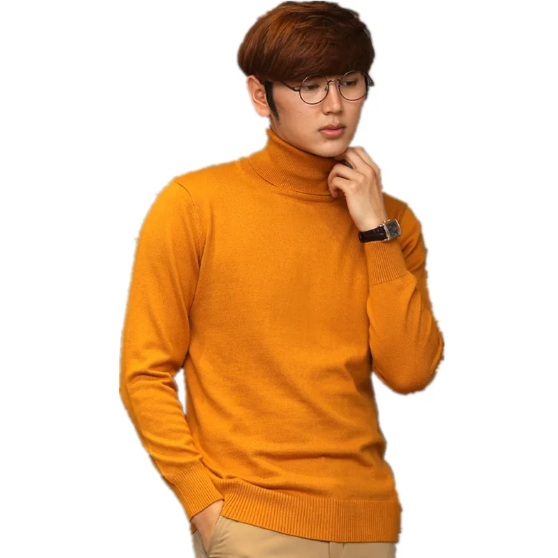 Pure Color Cashmere Turtleneck Men's 