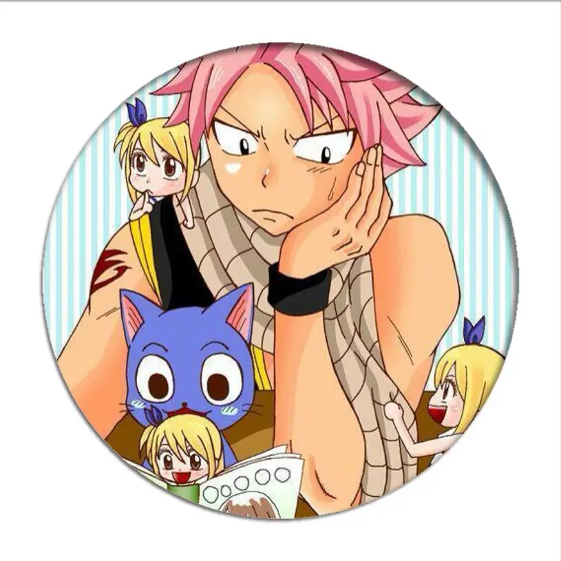 Japan Anime Fairy Tail Natsu Cosplay Badge Lucy Happy Brooch Pins Gray Erza  Collection Badges for