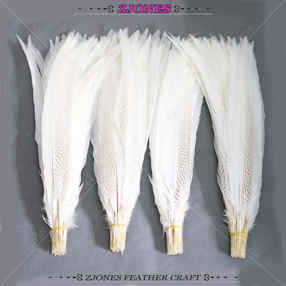 10Pcs/Lot Natural Plume Lady Amherst Pheasant Feathers For Crafts