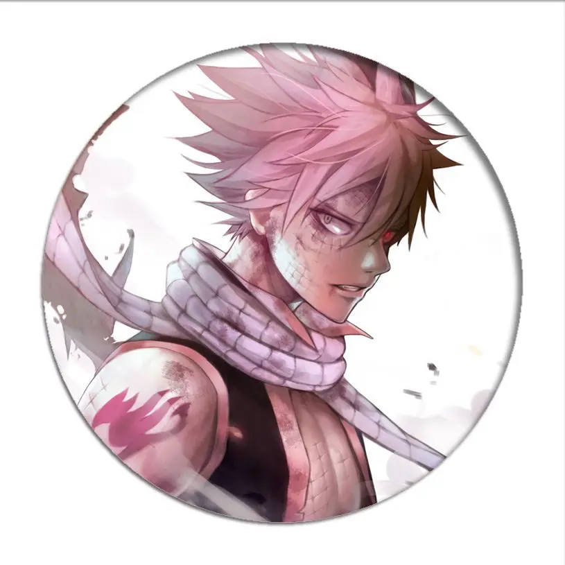 Japan Anime Fairy Tail Natsu Cosplay Badge Lucy Happy Brooch Pins Gray Erza  Collection Badges for