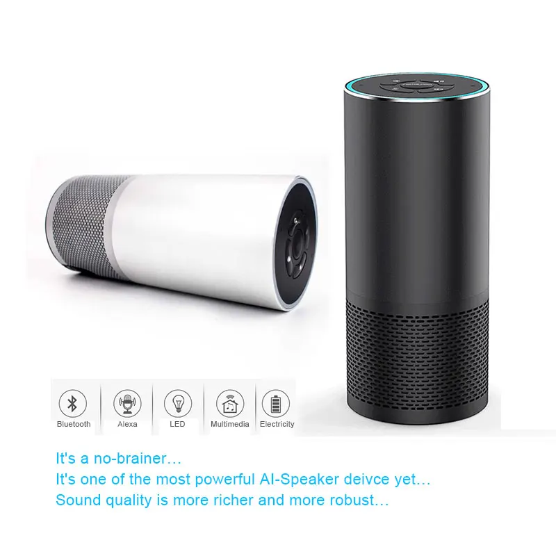 alexa music player