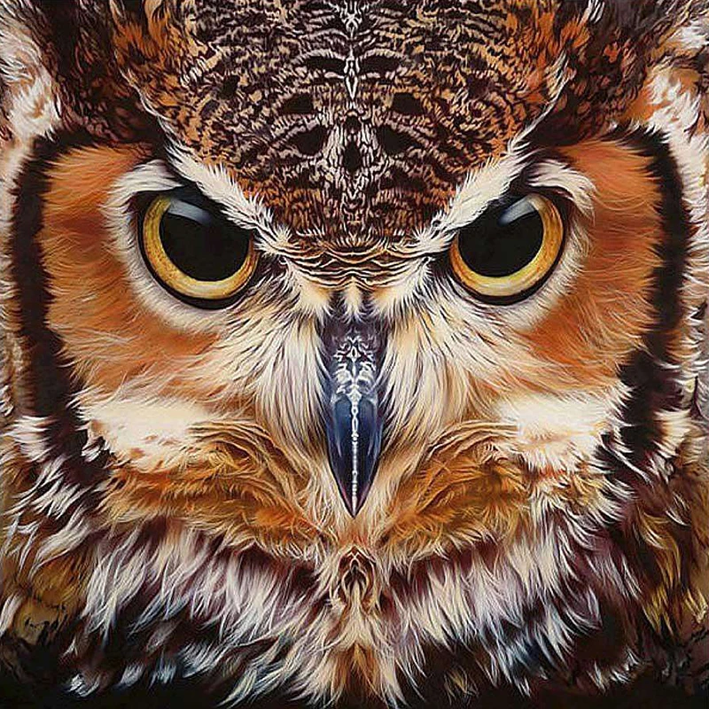 5D Diamond Painting owl Diamond Mosaic Painting Kits animals Full