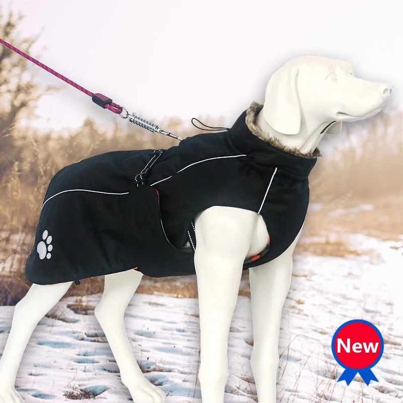 xxl dog jackets for winter