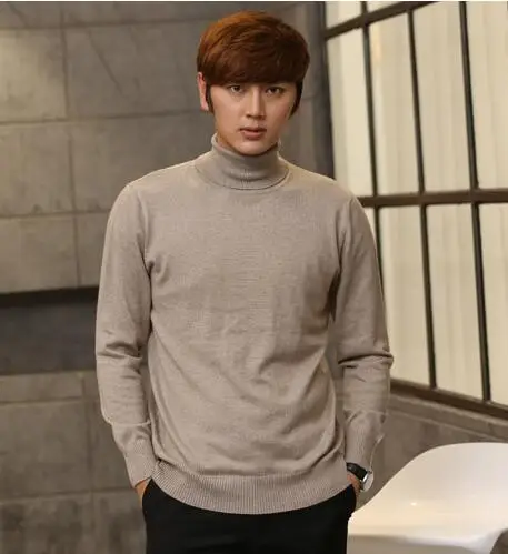 Pure Color Cashmere Turtleneck Men's 