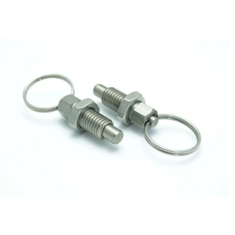 Stainless Steel Spring Loaded Pin Latch