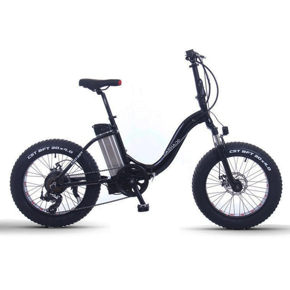 20 inch wheel electric bikes