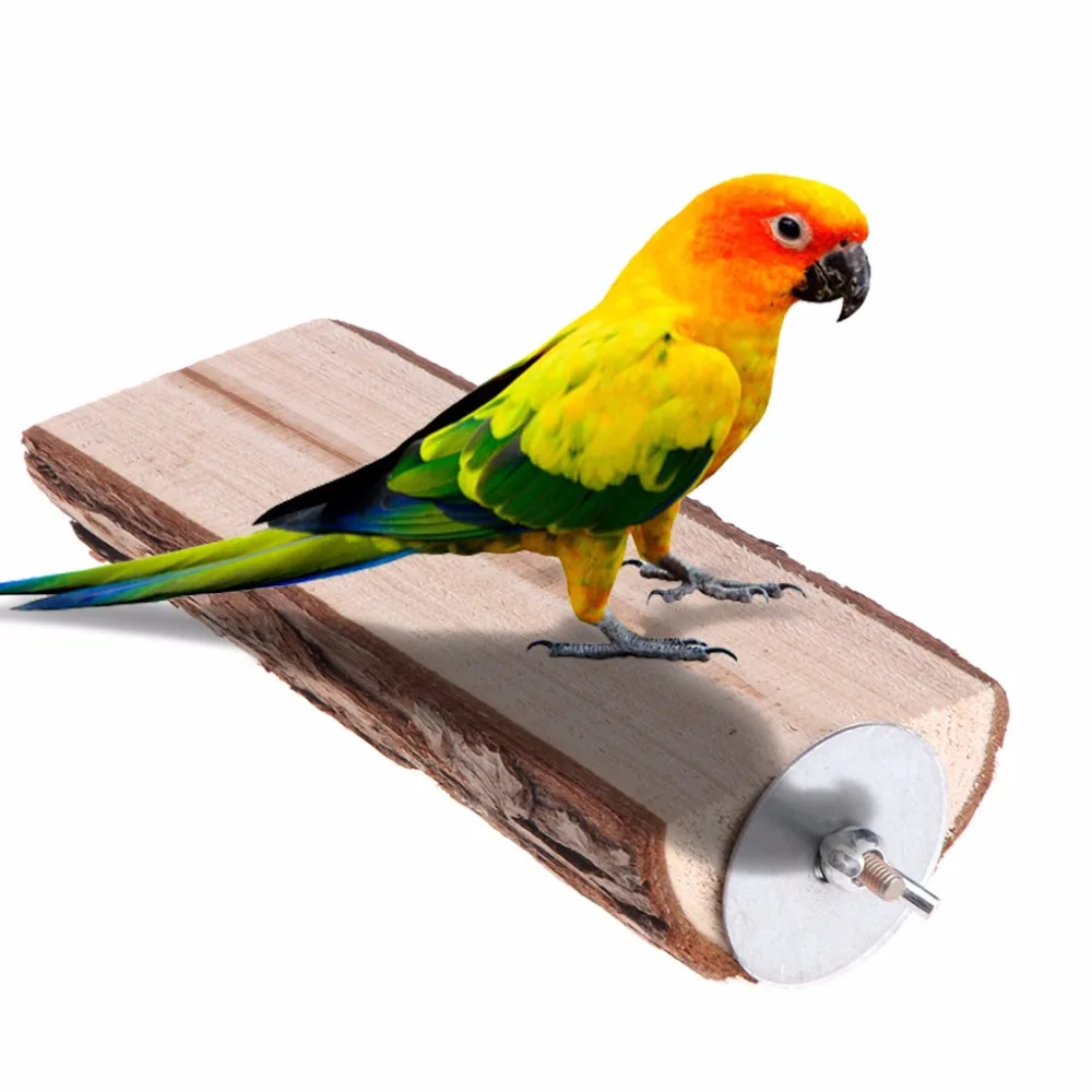 parrotlet supplies