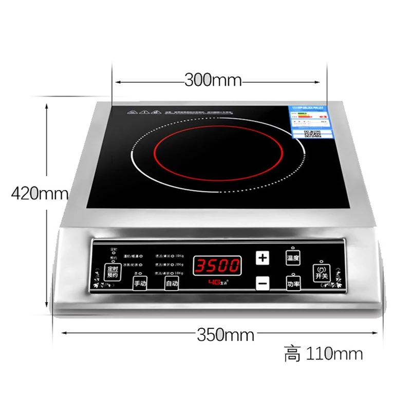 electric induction oven