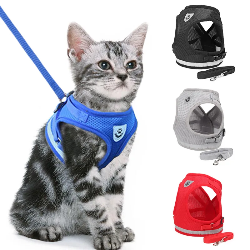 cat vest leash