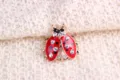 2022 Exquisite Cute Little Bee Ladybug Rhinestone Brooch Charm Ladies Trend Brooch Pin Party Clothing Accessories preview-4