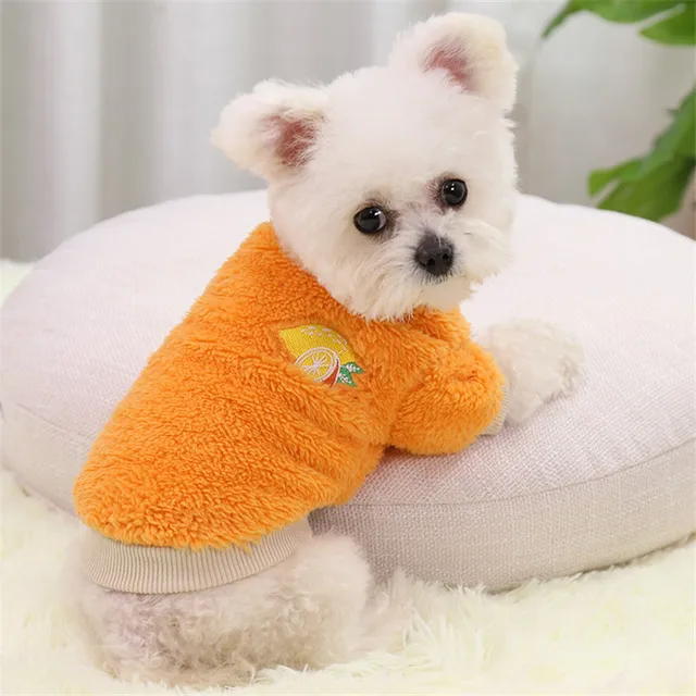 plush dog clothes