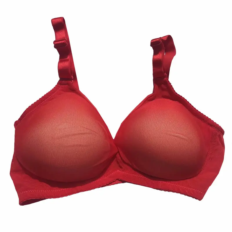 See through Pocket Bra Set A Bra and a pair Sponge Breast Forms