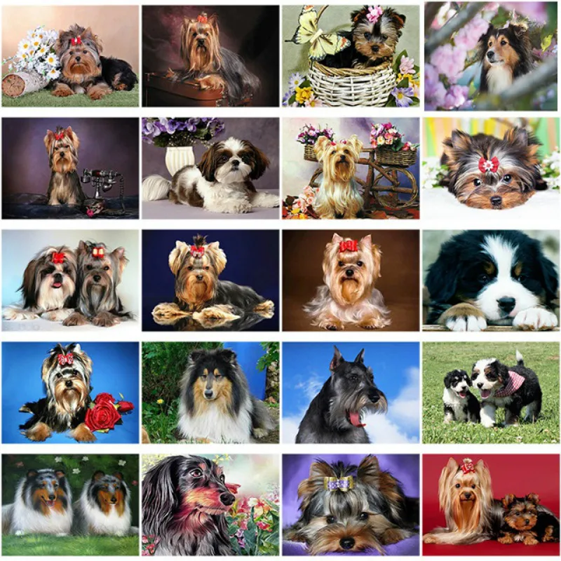 5D DIY Full Square Round Diamond Painting Dog Diamond Embroidery Sale  Animal Husky Cross Stitch Home Decoration