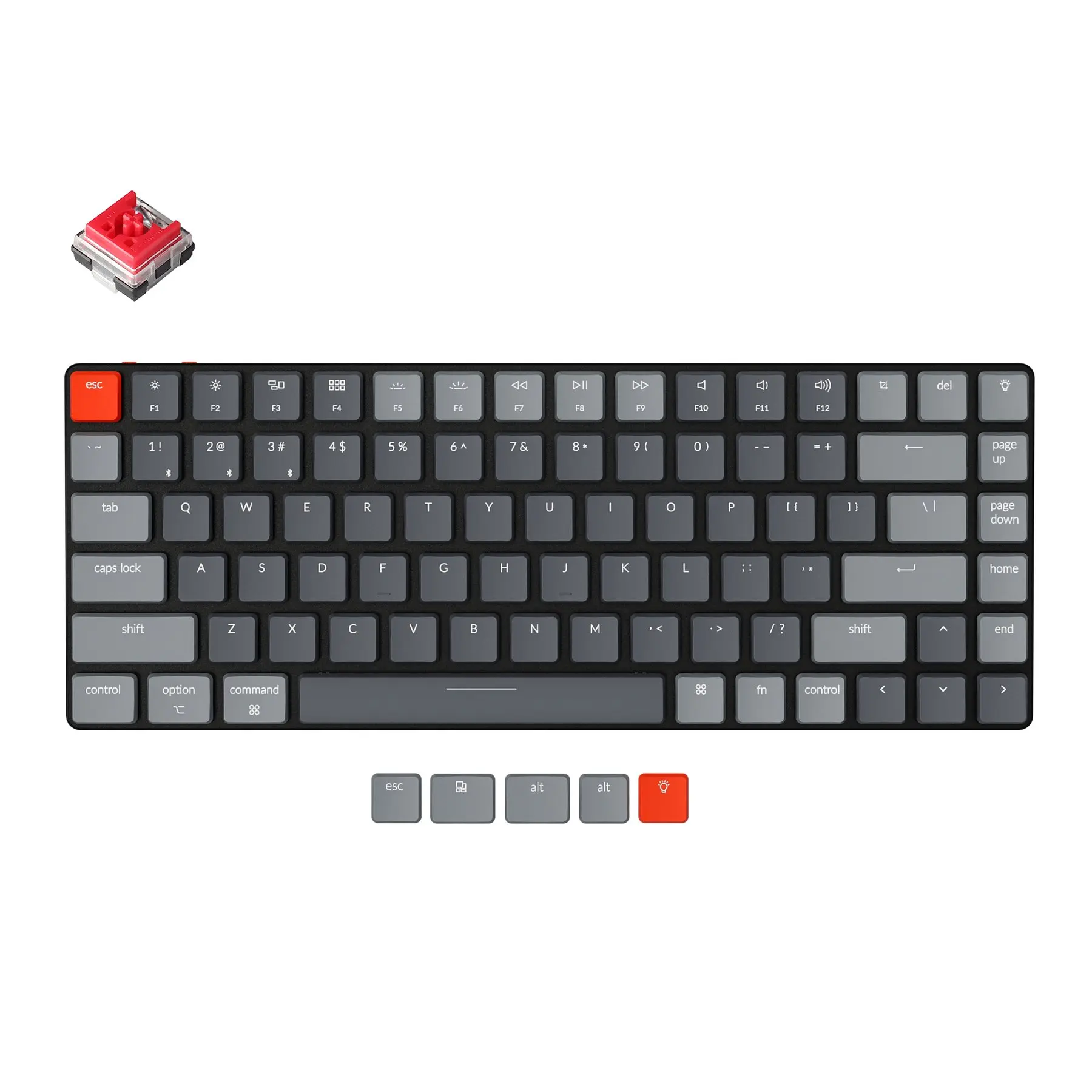 rgb low profile keyboard