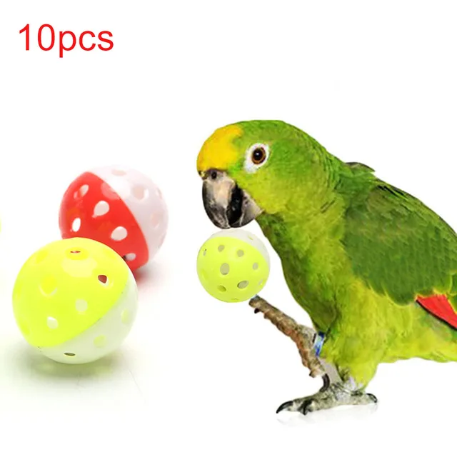 pet bird toys