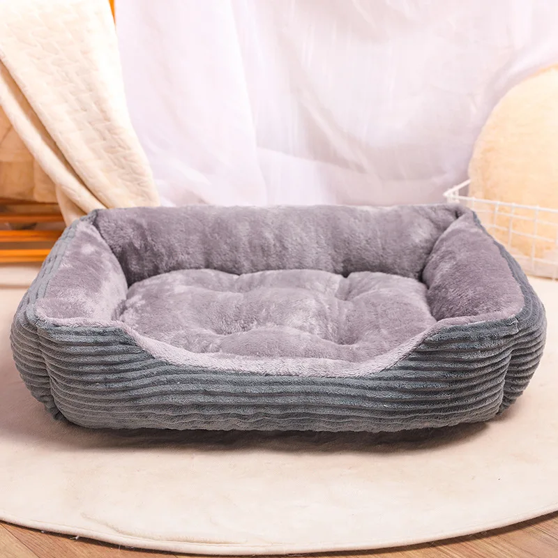 bed with dog